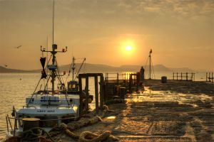Greeting the Dawn - Lyme Regis Harbour.jpg.jpg